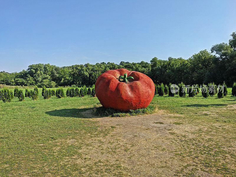 在Lipetsk地区的“Kudykina Gora”自然公园里，巨大的人造番茄作为艺术品矗立着